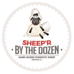 Sheep 'R'  By The Dozen